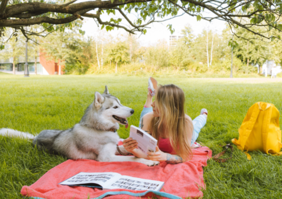 The Best DogFriendly Places To Escape With Your Furry Friend in These